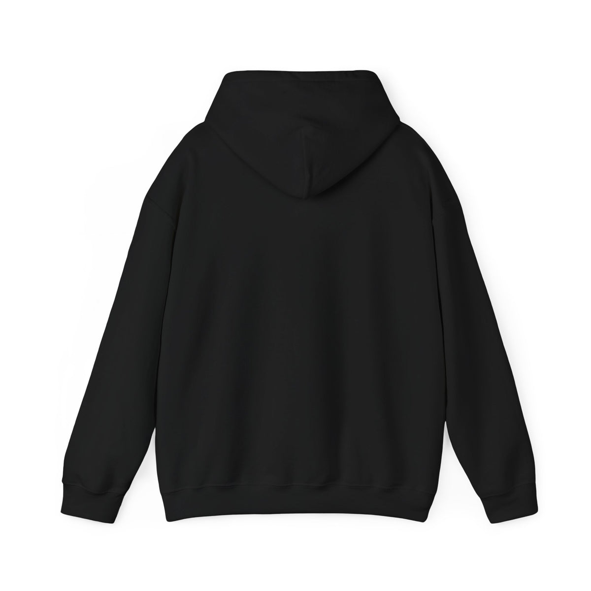 The Older the Better Classic Airplane Hoodie