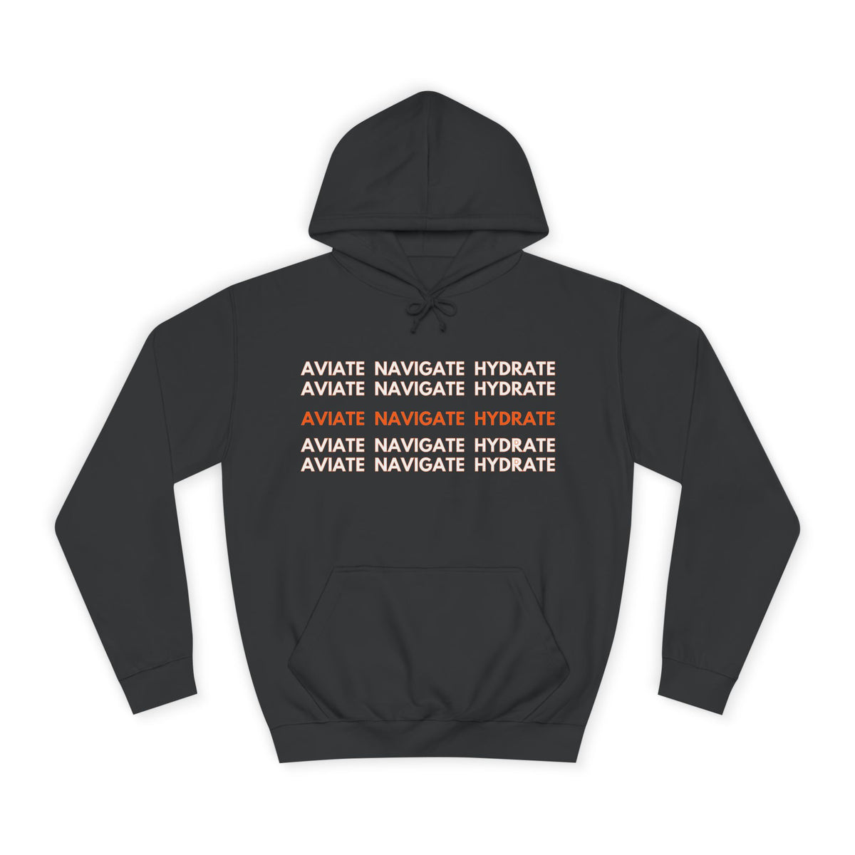 Aviate Navigate Hydrate Unisex Hoodie