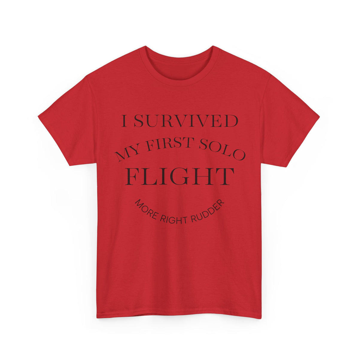 I Survived My First Solo Flight Unisex Heavy Cotton Tee