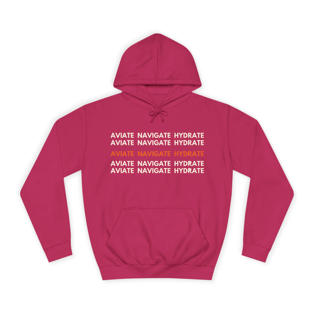 Aviate Navigate Hydrate Unisex Hoodie