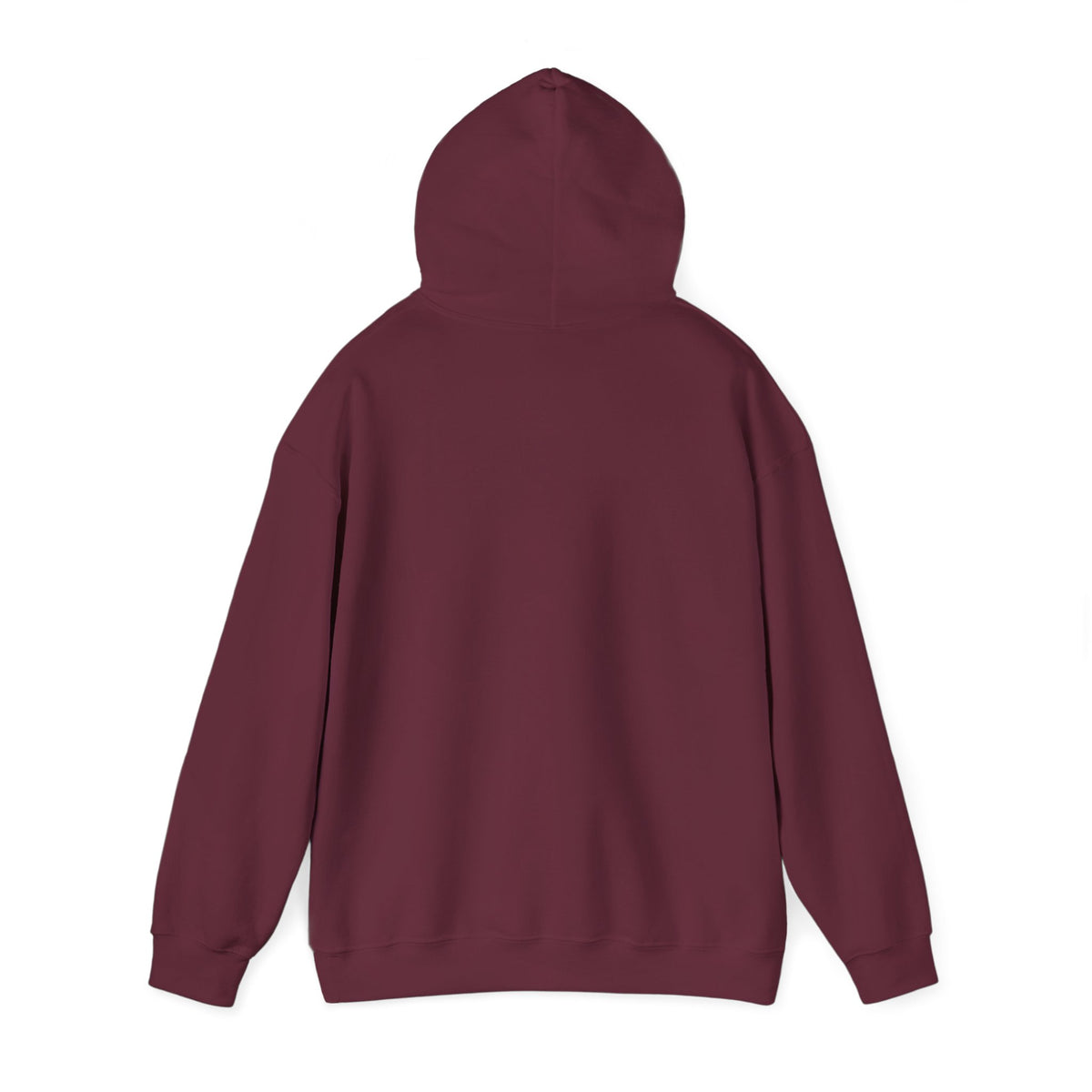 The Older the Better Classic Airplane Hoodie