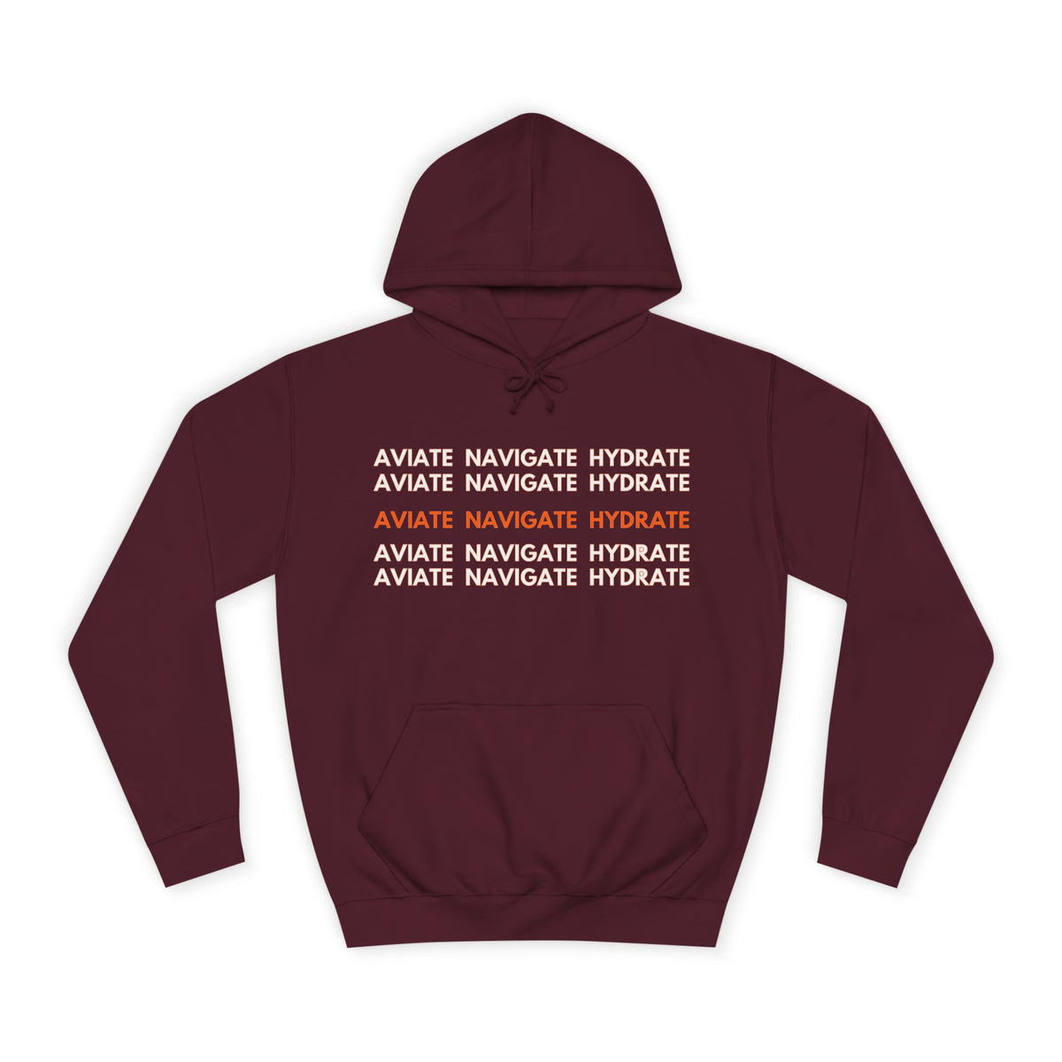 Aviate Navigate Hydrate Unisex Hoodie