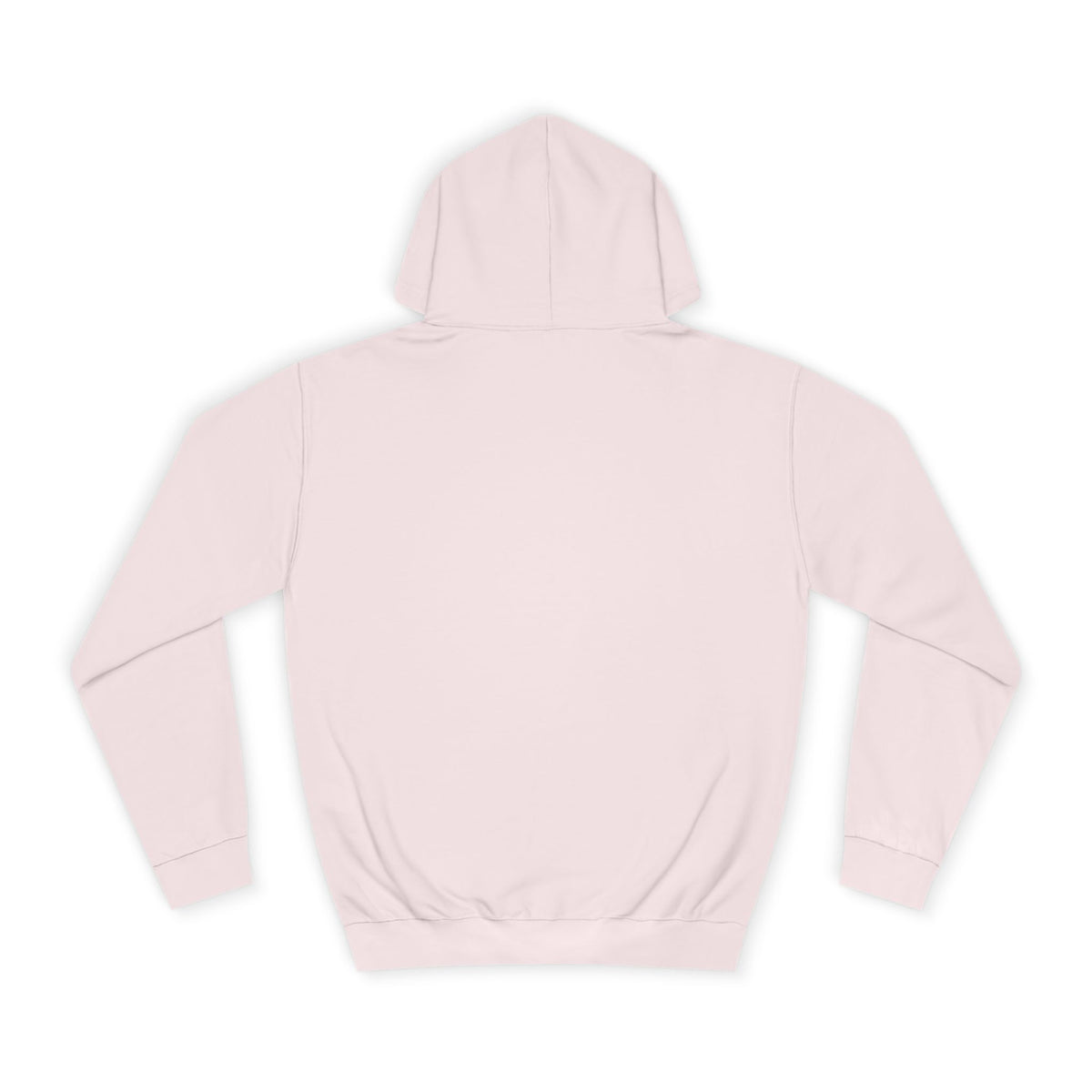 College Hoodie - LAC Flying School Logo