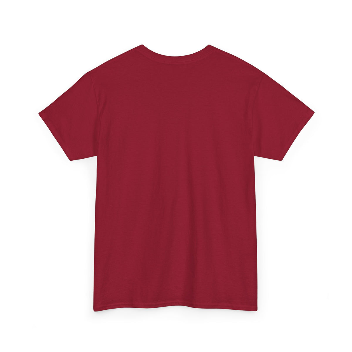 Chipmunk Vintage Airplane Tee — "80 Years" Commemorative Aviation Shirt