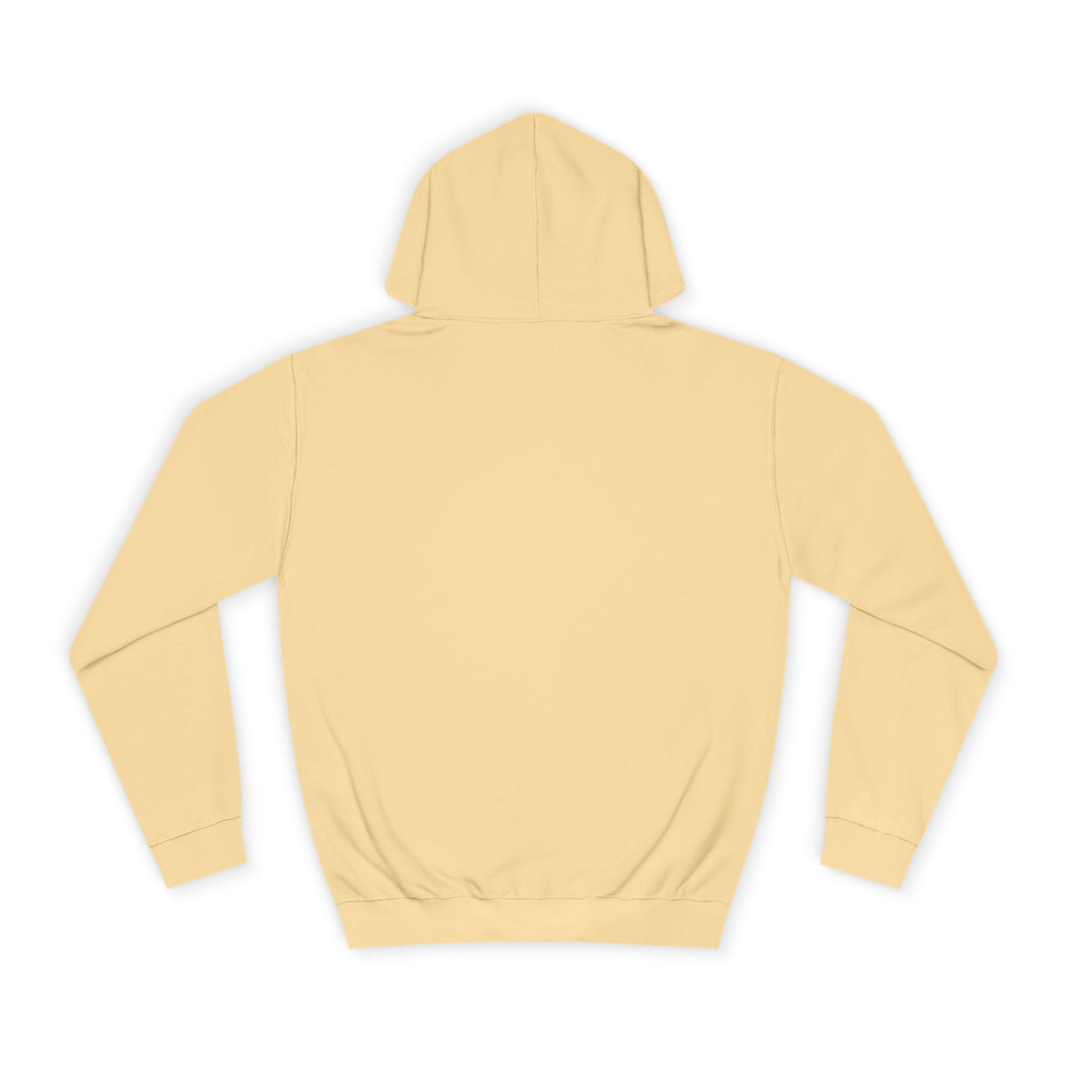 College Hoodie - LAC Flying School Logo