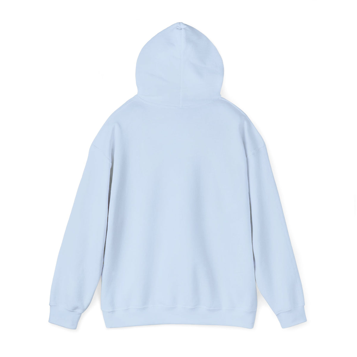 Sea Vixen Vintage Aircraft Graphic Hoodie