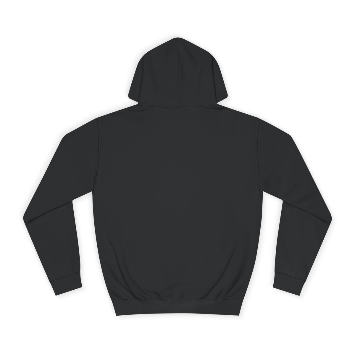 College Hoodie - LAC Flying School Logo