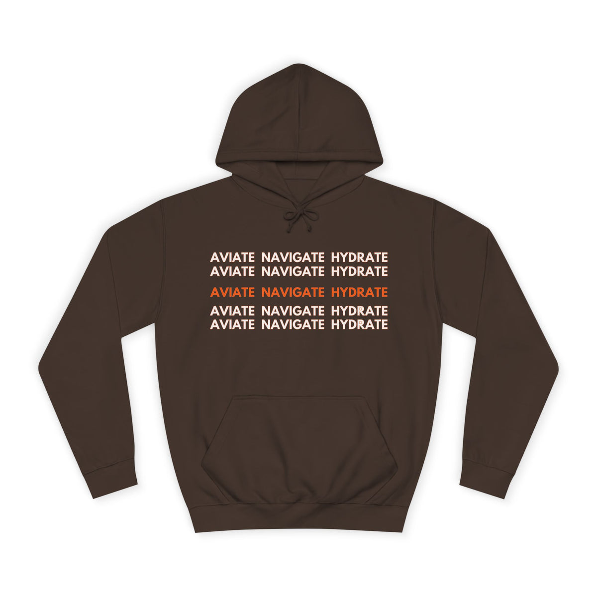 Aviate Navigate Hydrate Unisex Hoodie