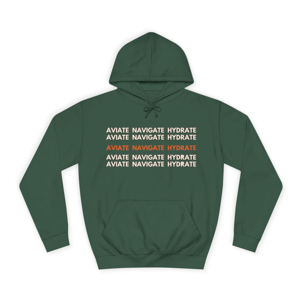Aviate Navigate Hydrate Unisex Hoodie