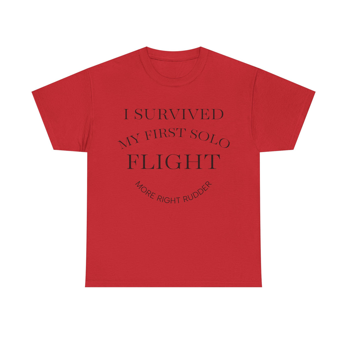 I Survived My First Solo Flight Unisex Heavy Cotton Tee