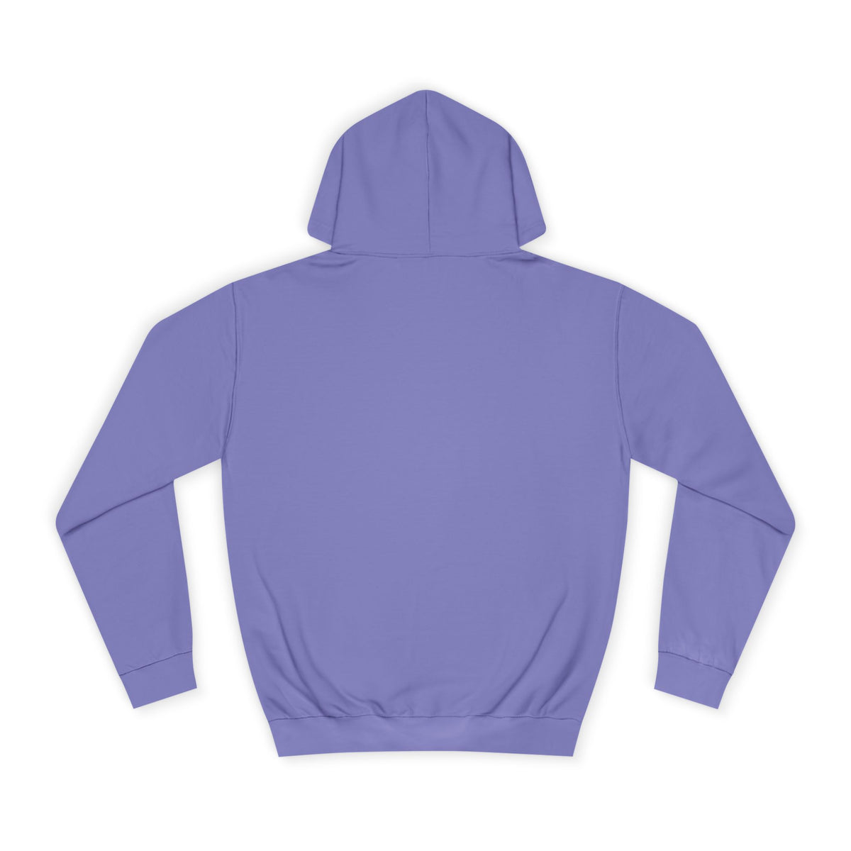 College Hoodie - LAC Flying School Logo