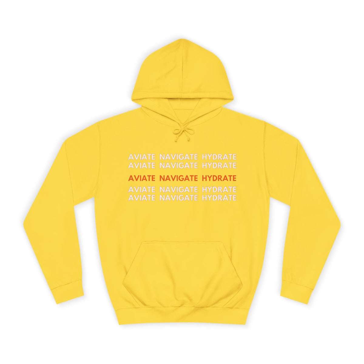 Aviate Navigate Hydrate Unisex Hoodie