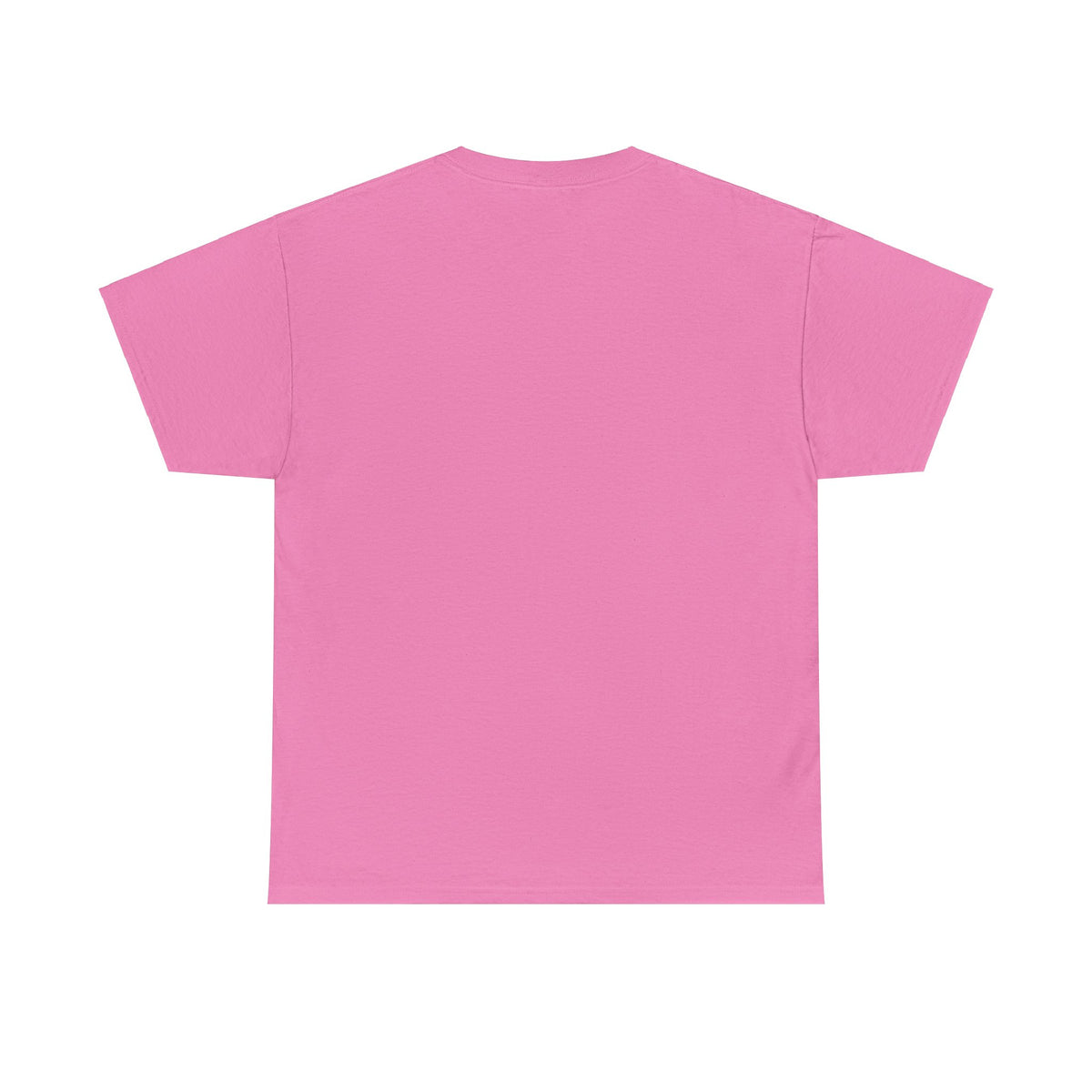 Flight Instructor T-Shirt design