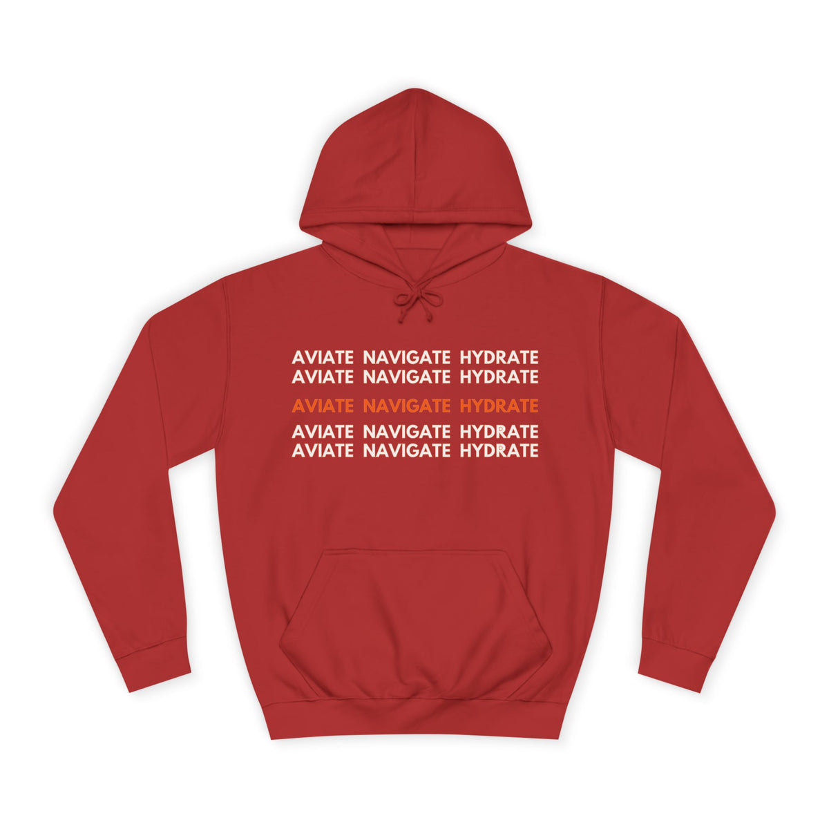 Aviate Navigate Hydrate Unisex Hoodie