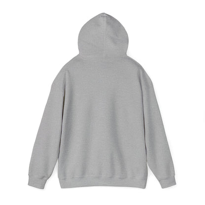 This little Piggy Pilot design Unisex Hoodie - Funky Aviation