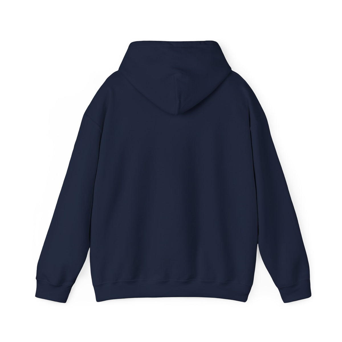 Pilot Instructor Hoodie — "Principles of Flight" Aviation Quote Hooded Sweatshirt