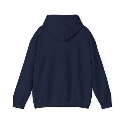 Pilot Instructor Hoodie — "Principles of Flight" Aviation Quote Hooded Sweatshirt