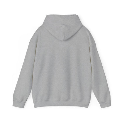 This little Piggy Pilot design Unisex Hoodie - Funky Aviation