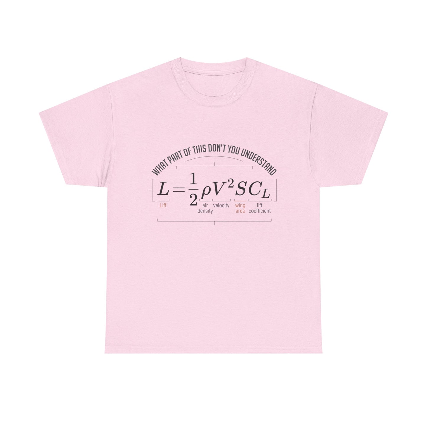 Physics Formula T-Shirt – “What Part of This Don’t You Understand?” Tee