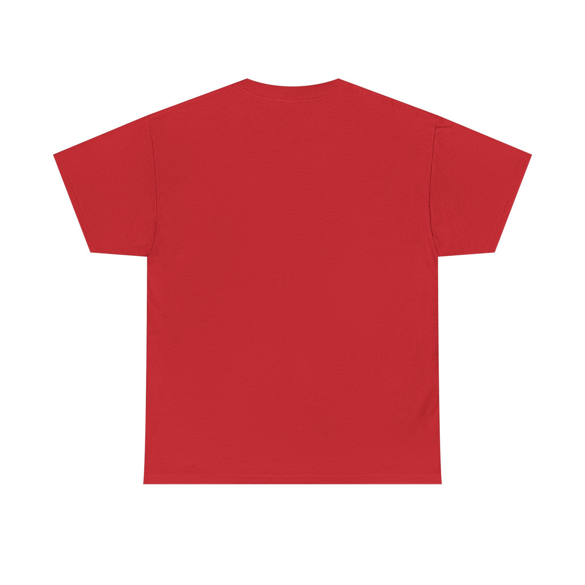 Pitts Aerobatic - Vintage Airplane Shirt for Pilots & Aviation Fans