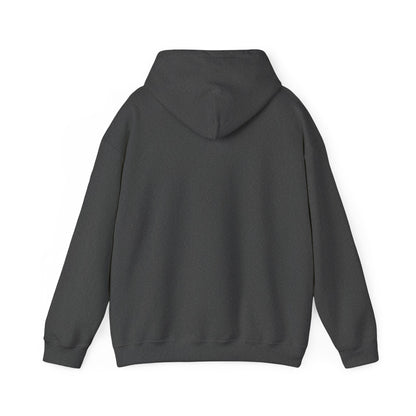 Altitude With Attitude Fighter Pilot Mountain Hoodie