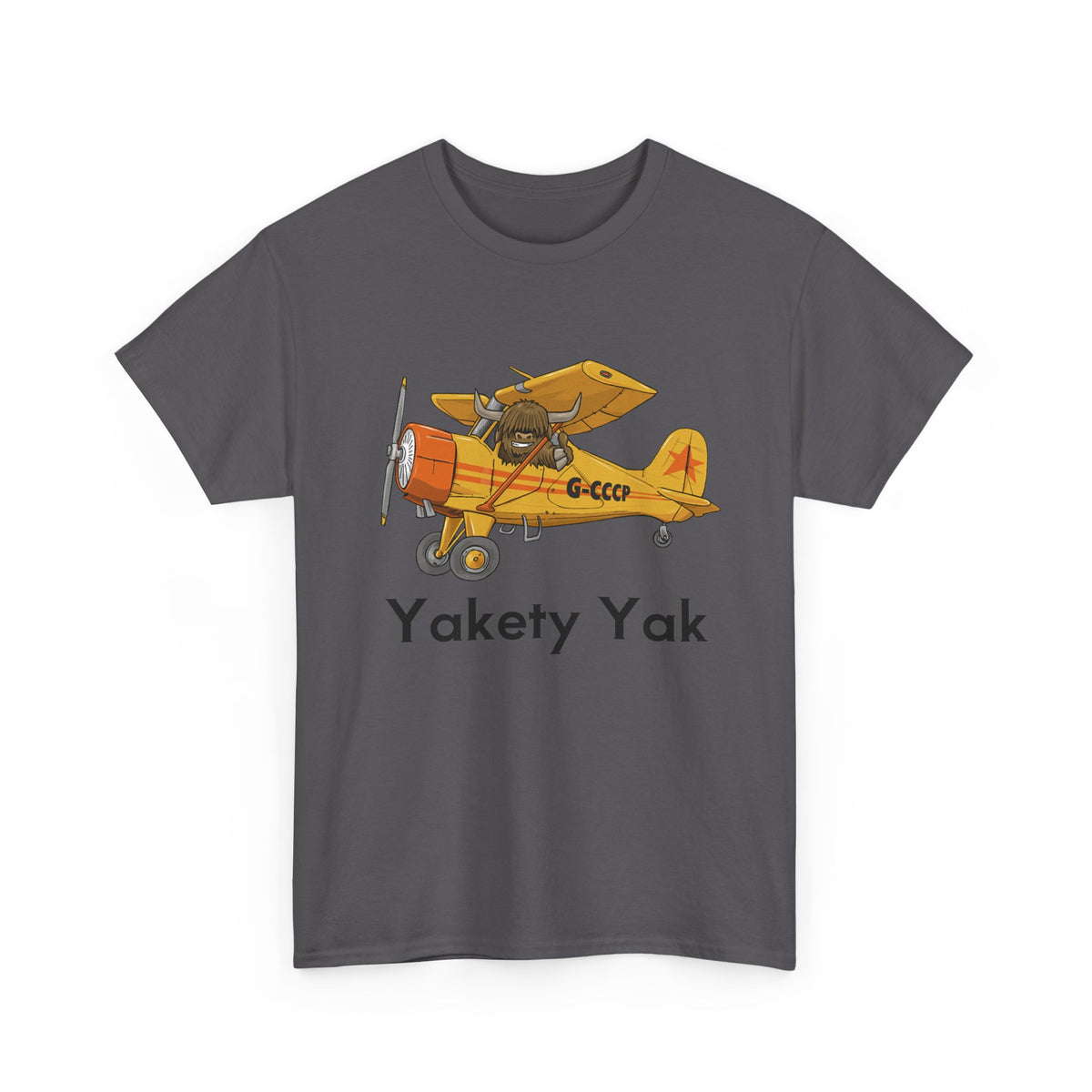 Yakety Yak Vintage Airplane Graphic Tee