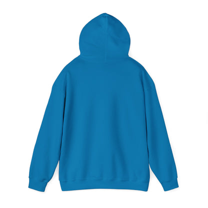 Eurostar EV97 Captain Cool Unisex Heavy Blend™ Hooded Sweatshirt - Funky Aviation