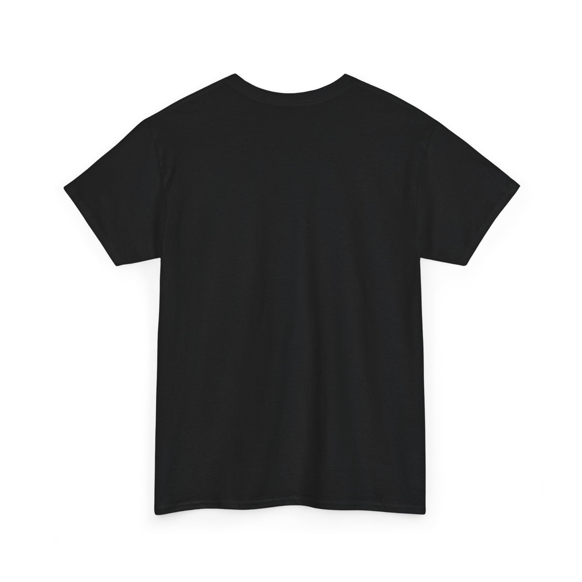 Pitts Aerobatic - Vintage Airplane Shirt for Pilots & Aviation Fans