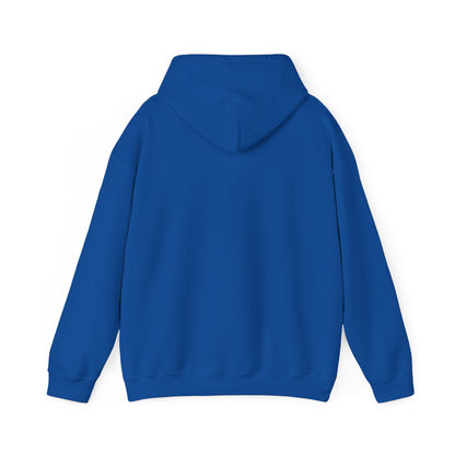 Eurostar EV97 Captain Cool Unisex Heavy Blend™ Hooded Sweatshirt - Funky Aviation