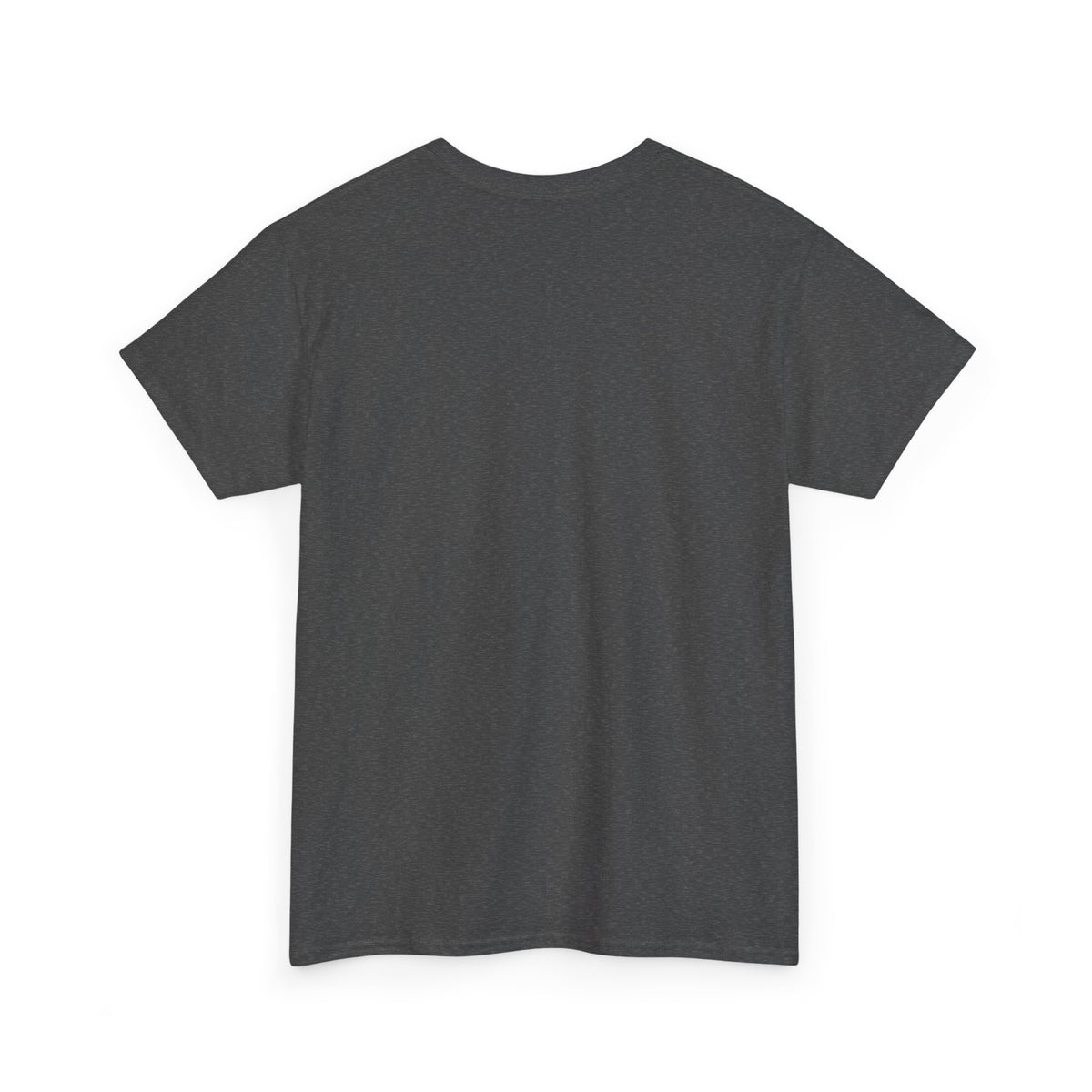 Chipmunk Vintage Airplane Tee — "80 Years" Commemorative Aviation Shirt