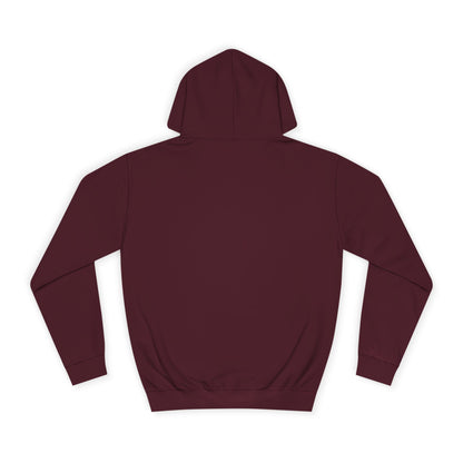 RV7 Aviation Hoodie — Small Red Aerobatic Aircraft Graphic