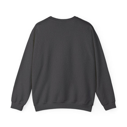 Aviation Crewneck Sweatshirt – "Fluent Turbulence" Vintage Pilot Graphic