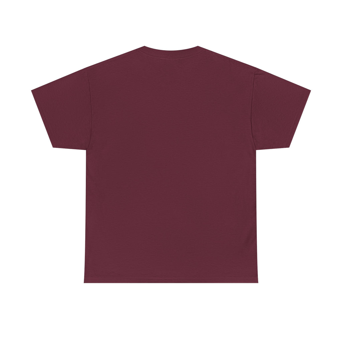 Pitts Aerobatic - Vintage Airplane Shirt for Pilots & Aviation Fans
