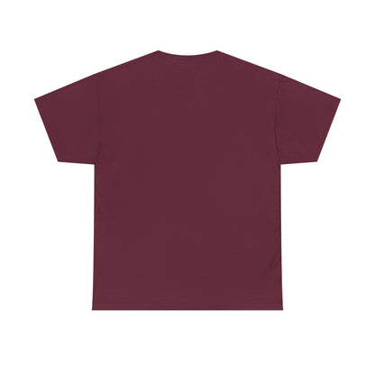 Pitts Aerobatic - Vintage Airplane Shirt for Pilots & Aviation Fans
