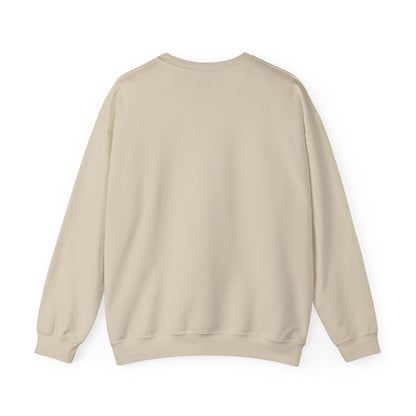 LAC PA28 Vintage-Inspired Airplane Graphic Unisex Crewneck Sweatshirt