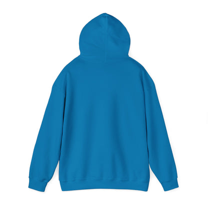 This little Piggy Pilot design Unisex Hoodie - Funky Aviation