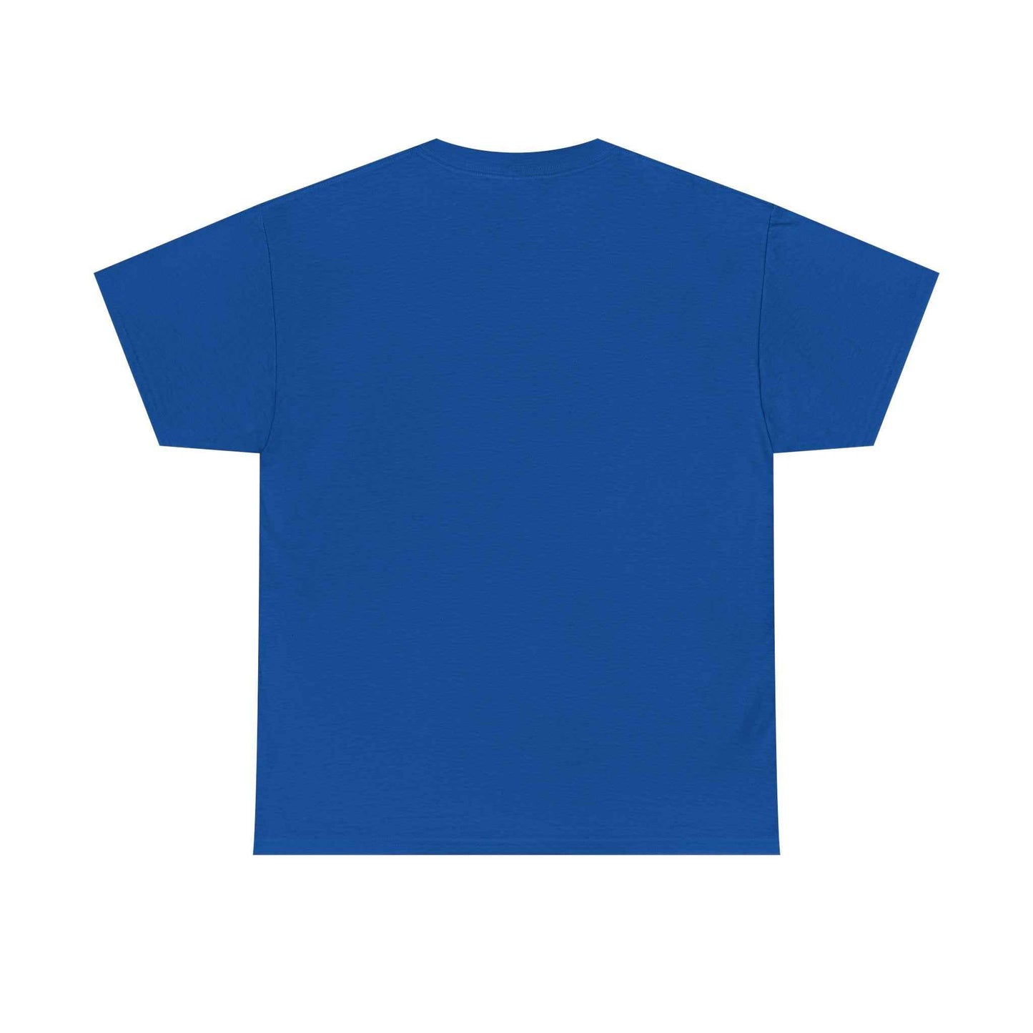 Pitts Aerobatic - Vintage Airplane Shirt for Pilots & Aviation Fans