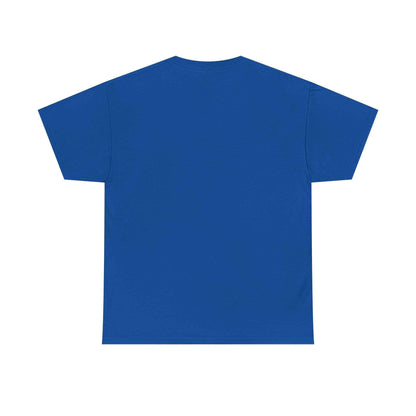 Pitts Aerobatic - Vintage Airplane Shirt for Pilots & Aviation Fans