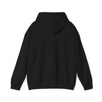 Pilot Instructor Hoodie — "Principles of Flight" Aviation Quote Hooded Sweatshirt