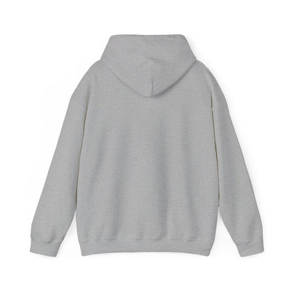 Eurostar EV97 Captain Cool Unisex Heavy Blend™ Hooded Sweatshirt - Funky Aviation