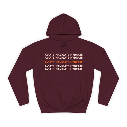 Aviate Navigate Hydrate Unisex Hoodie