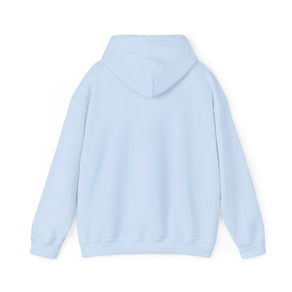 This little Piggy Pilot design Unisex Hoodie - Funky Aviation