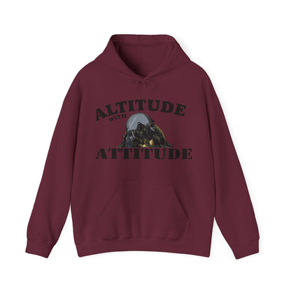 Altitude With Attitude Fighter Pilot Mountain Hoodie