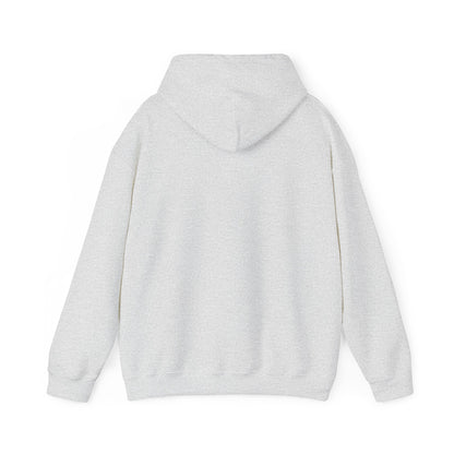Eurostar EV97 Captain Cool Unisex Heavy Blend™ Hooded Sweatshirt - Funky Aviation
