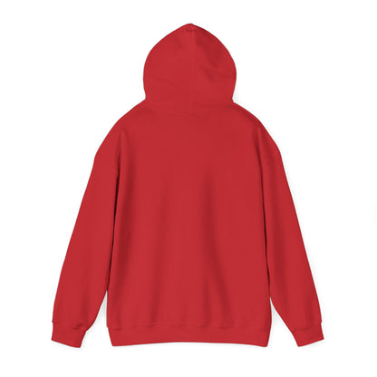 The Older the Better Classic Airplane Hoodie