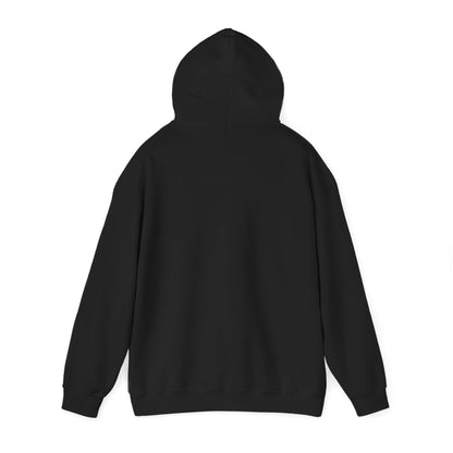 Pilot Instructor Hoodie — "Principles of Flight" Aviation Quote Hooded Sweatshirt