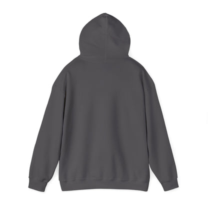 This little Piggy Pilot design Unisex Hoodie - Funky Aviation