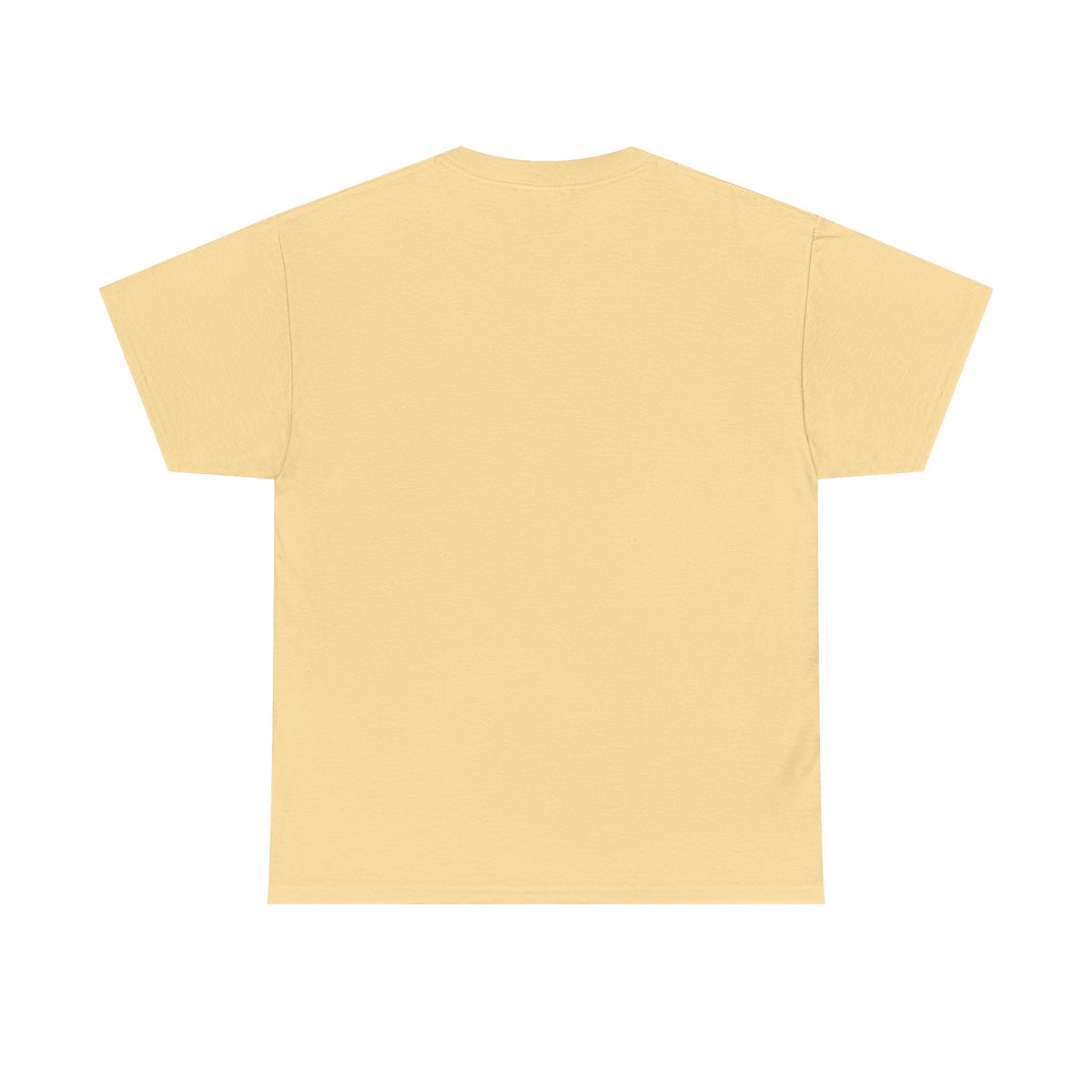Pitts Aerobatic - Vintage Airplane Shirt for Pilots & Aviation Fans