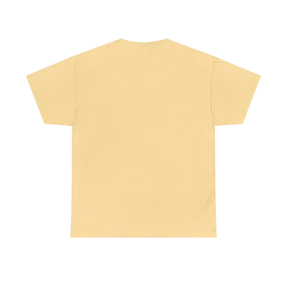 Pitts Aerobatic - Vintage Airplane Shirt for Pilots & Aviation Fans