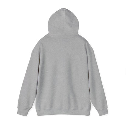 Eurostar EV97 Captain Cool Unisex Heavy Blend™ Hooded Sweatshirt - Funky Aviation
